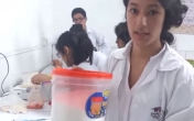 Elaboracin de la gelatina